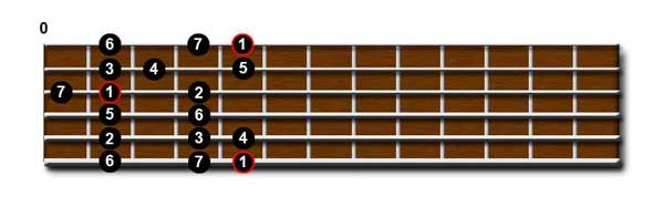 Major Scale Shape 3 Fingerings